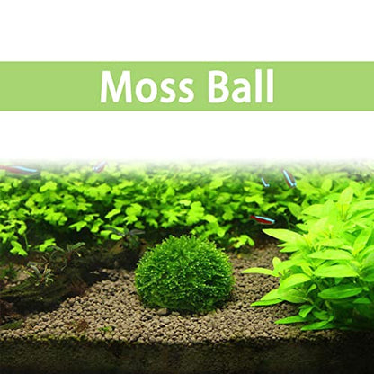 2pcs Plastic Aquarium Shrimp Fish Tank Media Moss Ball Holder Fish Tank Accessories Home Decoration 5x3cm, Transparent