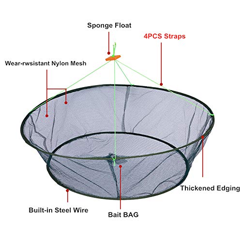 Persei Foldable Fishing Net Hand Casting Cage Crab Net for Fish Shrimp Minnow Crayfish Crab - color: Small 31.5inch/80cm