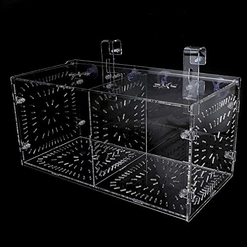 Fish Breeding Box Acrylic Fish Isolation Box Fish Seedlings Incubator Aquarium Fish Breeder Box with Isolation Board for Baby Fishes Shrimp Clownfish and Guppy(30CM*15CM*15CM)