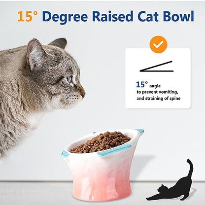 Tioncy 2 Pcs Raised Tilted Ceramic Cat Food Bowl Fish Shape Cute Elevated Slanted Shallow Angled Cat Dish Non Slip Feeder Bowl for Anti-Vomiting and Whisker Fatigue(Blue, Pink) - color: Blue, Pink