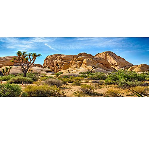 30x12 inches Joshua Tree National Park Natural Photography for Aquarium Backdrop American Western Desert Weathering Rock Drought-Tolerant Plant Cactus Photo Terrarium Background - size: 30x12in-P