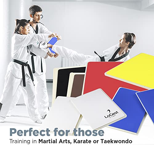Logest Rebreakable Boards Martial Arts - Taekwondo Karate MMA Boards - Reusable Plastic Training Breaking Boards for Kids & Adults Available in 6 Levels of Difficulty Taekwondo Boards for Breaking - color: 6 Levels Set - White Y B R B Black
