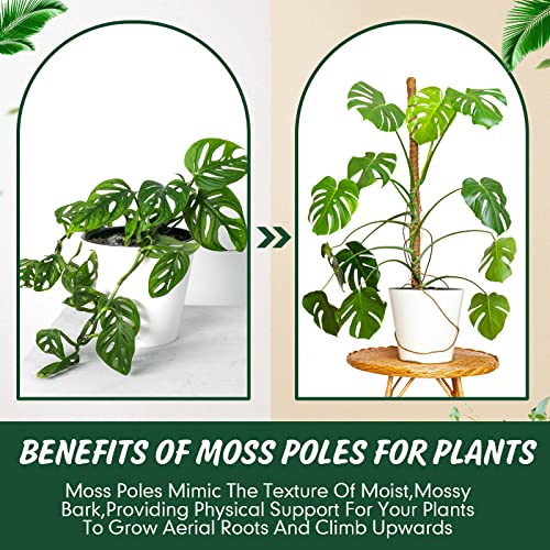 30 Pcs Moss Pole for Plants Monstera 16.5 Inch Coir Poles Bendable Monstera Plant Support with 10 Pcs 6.56 Feet Jute Rope and 6.56 Feet Green Plant Tape for Indoor Outdoor Climbing Plants Growth