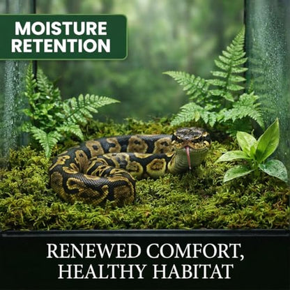 Sukh Sphagnum Moss for Reptiles - Terrarium Reptile Moss Substrate, 6.3 OZ | Habitat Bedding for Snake, Gecko, Turtle, Frog, Bearded Dragon, Jumping Spider, Chameleon, Enclosure & Tank Accessories Decor - size: 6.3 Ounces