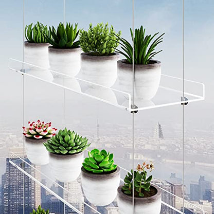 OtNiap Clear Hanging Window Plant Shelves, 2-Pack 4-Tier, 16-Inch Stand | Adjustable Indoor wall plant holder for herbs, microgreens and potted plants. Maximizes window space while displaying plants - size: 2 Pack-4 Tier
