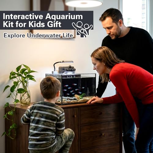 2.5 Gallon Nano Aquarium Kit, Glass Small Fish Tank Starter Kit with Light, Filter, Gravel Rock,Lid. Ultra Clear Rimless Desktop Fish Tank for Small Fish,Betta,Shrimp.Complete Version, Black