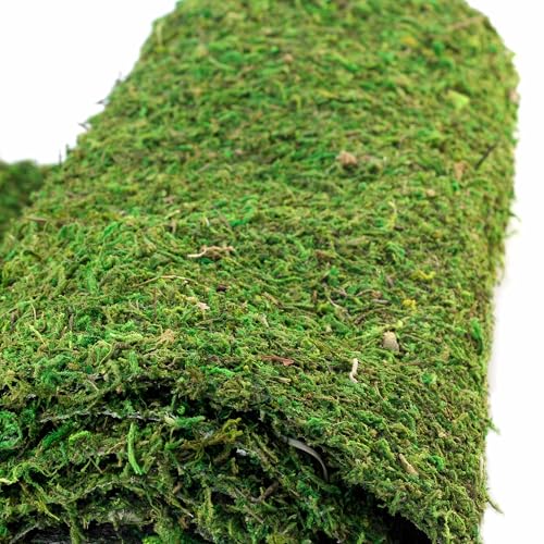 Galápagos (05094) CrashPad, Mossy Terrarium Liner, Natural, 18 x 36 in