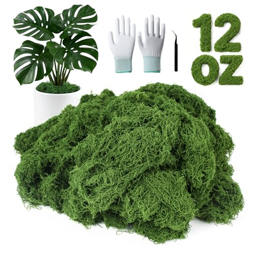 MGLIFEUL 12oz Fake Green Moss for Plants Indoor with Gloves and Tweezers | Artificial Faux Moss for Craft DIY Table Centerpieces Living Walls Fairy Garden Indoor Outdoor Home Decorating Model Making - color: Dark Green, size: 12oz