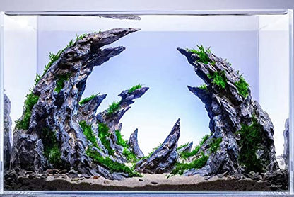 Allcolor Artisan Grade Ultra Clear Rimless Aquarium Tank (15Gal) | Low Iron Glass Fish Tank for Professional Aquascaping and Planted Layouts, 6-60 Gallons (15Gal-Top Glass Canopy) - size: 15Gal 20.8"L×11.8"W×14.1"H