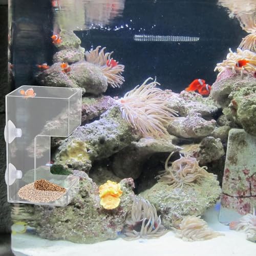 Transparents Fish Food Dispenser Rings Nonslip Aquariums Feeders Rings Essential Fish Feeding Supply Slow Sinking Food Feeders - color: square1