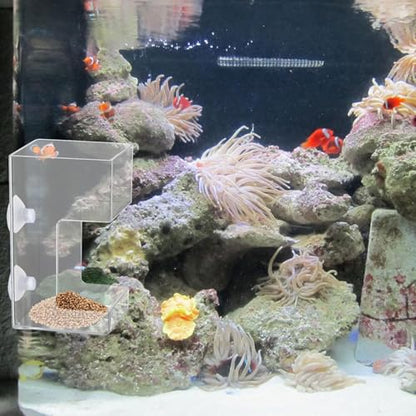 Transparents Fish Food Dispenser Rings Nonslip Aquariums Feeders Rings Essential Fish Feeding Supply Slow Sinking Food Feeders - color: square1