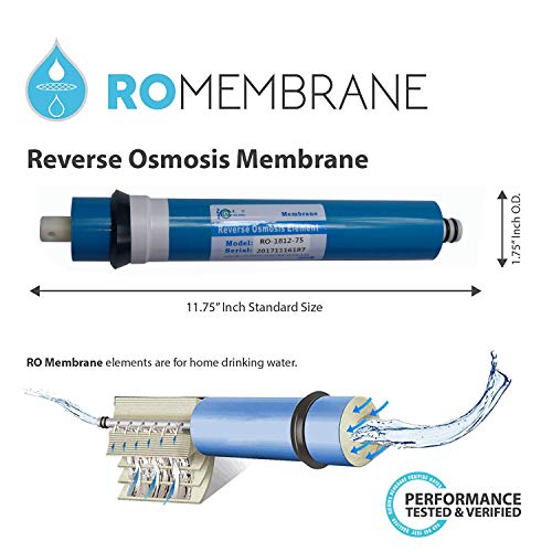 Huining Reverse Osmosis Membrane RO Membrane Housing Kit with 1/4 Quick Connector,Check valve,Water Pipe,Wrench Whole Set for Residential Household Hospital Water Filtration System (75GPD) - style: 75GPD kit