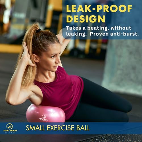 ProBody Pilates 볼 펌프 포함 소형 운동 공, 22.9cm(9인치) 바레 볼, 미니 소프트 요가 볼, 안정성을 위한 운동 공, 바, 피트니스, 복근, 코어, 물리 치료 및 물리 치료 공, 가정 체육관 및 사무실 - color: 핑크