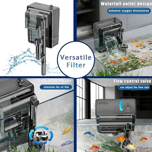 3 Gallon 12.6” L Fish Nano Glass Aquarium, with Separator Plate for Betta, Multi-Functional Square Fish Tank with Filter, LED Light, Black 4mm Glass