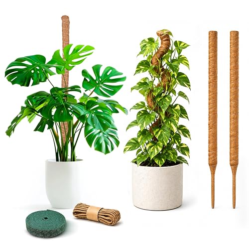 EcoNour 2 Pack Moss Poles for Plants – 28" Monstera Plant Support Stakes, Coir Plant Sticks for Indoor Climbing Plants, Pothos, Philodendron & Houseplants - size: 28 Inches - (2 PCS)