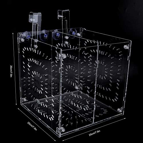 Acrylic Fish Breeding Box 20x20x20cm Mesh Rearing Trap for Baby Shrimp Clownfish Guppy, Isolation Board Prevents Adult Attack, Adjustable Suction Cup Fixation for Aquarium Hatchery (20MC - size: 20MC *20CM*20CM