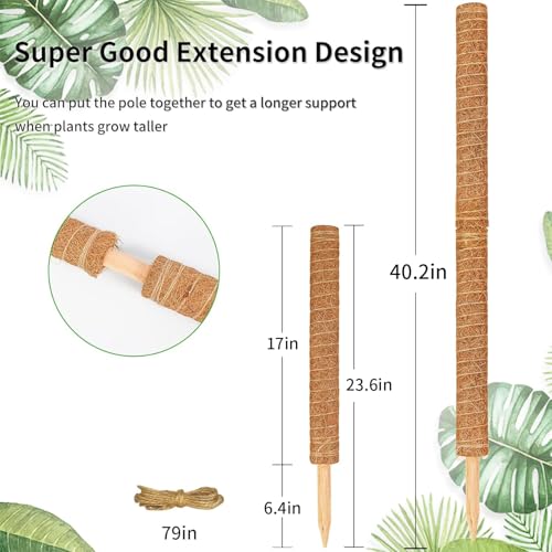 Moss Pole for Plants Monstera,【8 Pack】 23.6 inch Plant Support Pole, Extendable Coir Totem Pole for Potted Plants Pothos, Train Indoor Climbing Plants to Grow Upwards - size: 8 Pack 23.6 inch