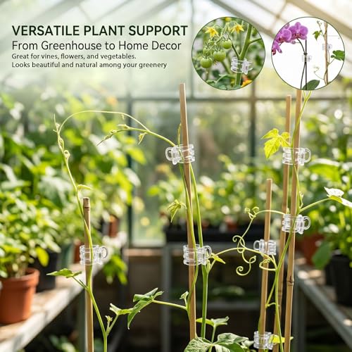 100Pcs Plant Clips Orchid Clips, Clear Plant Clip | Plants Orchid Support Clip Plants Pins for Orchids Support Flower Vine Climbing Vine Stem Supports