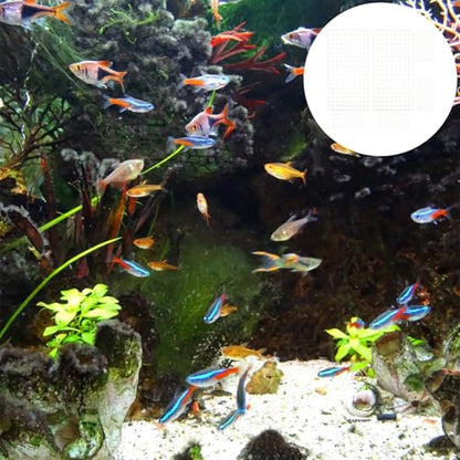 6pcs Aquarium Grid Dividers Fish Tank Bottom Partition Net White 30x15cm Mesh Breeding Isolation Board for Aquarium Filter and Fish Tank Separation