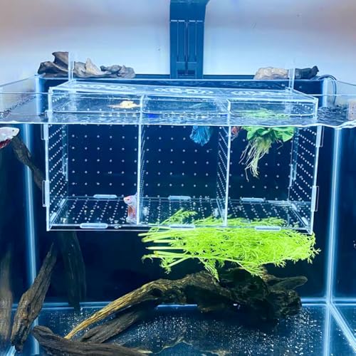 Fish Breeding Box, Acrylic Isolation Box Separator for Aquarium Hatchery Incubator with Suction Cups for Baby Fish Shrimp Clownfish (11.8 * 5.9 * 5.9 inch)