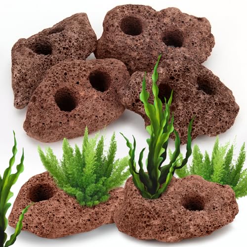 Lava Rock Aquarium, 6Pcs Aquarium Rocks Large for Fish Turtle Tank Plants, Decorations for Aquascaping, Fish Tank Ornaments, Terrarium