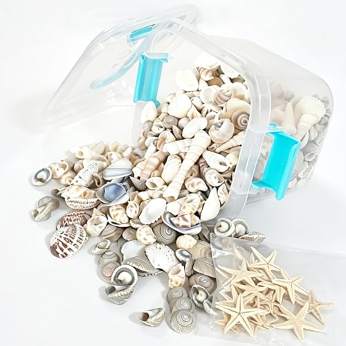 Tiny sea shells & 30 Tiny Starfish Decor Mixed Ocean Beach Spiral Seashells for Home Decor,Wedding Decor, Ocean Theme Decor, DIY Fish Tank and vase filler & decorative basket fillers (350g) - size: 350g