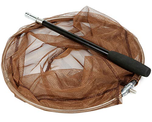 RESTCLOUD Bait Net and Fishing Landing Net with Telescoping Pole Handle Extends to 59 inches - color: Brown