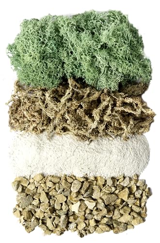 SuperMoss (90410) Terrarium Jar DIY Kit – Build Your Own Mini Garden in a Jar, Idea for Budding Gardeners, Creative Kids & Plant Lovers of All Ages, 32oz, Laguna - color: Laguna