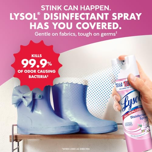 Lysol Disinfectant Spray, Household Cleaning Supplies, Disinfecting Multi-Purpose Room Spray, Antibacterial Sanitizer, Deodorizer, Kills Hantavirus, Early Morning Breeze, 12.5 Fl Oz