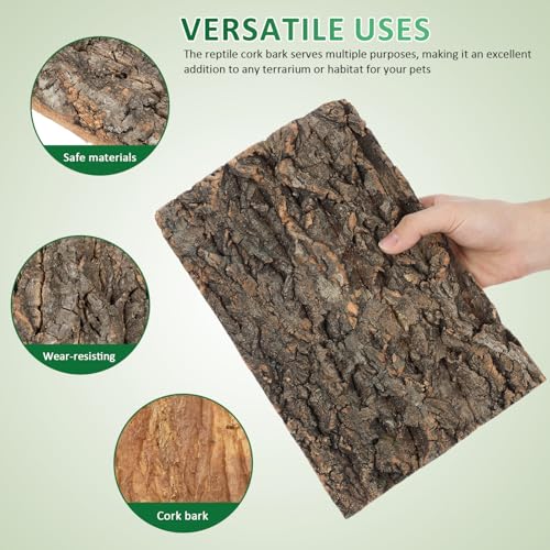 Kisangel 2Pcs Natural Cork Bark Fish Tank Decoration 11.81X7.87X0.39In Reptile Cork Bark Climbing Decor Aquarium Ornaments for Bearded Dragon Lizard Turtle Habitat