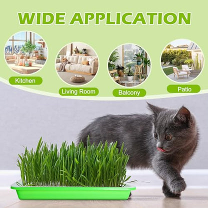 EBaokuup 10 Pack Seed Sprouter Tray with Drain Holes - BPA Free Seed Garden Plant Germination Propagation Trays, Soil-Free Wheatgrass Tray Sprouter Microgreens Growing Kit with Germinating Paper - color: Green,10pack