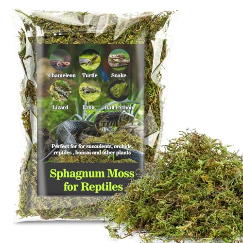 Sukh Sphagnum Moss for Reptiles - Terrarium Reptile Moss Substrate, 6.3 OZ | Habitat Bedding for Snake, Gecko, Turtle, Frog, Bearded Dragon, Jumping Spider, Chameleon, Enclosure & Tank Accessories Decor - size: 6.3 Ounces