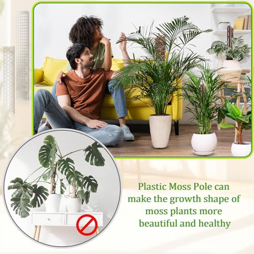 10 Pieces Plastic Moss Pole for Monstera Including 4 Pcs 24 Inch Clear Plant Poles for Indoor Climbing and 6 Pcs 15 Inch D Shape Stackable Plant Support Kit Work with Sphagnum Moss