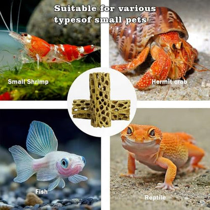 Natural Cholla Wood for Aquarium - 6 Inch Hollow Log Shrimp Hideout, Hermit Crab Climbing Toy, Realistic Driftwood Decor for Fish Tank, Reptile Terrarium Branch Ornament (2 Pack)