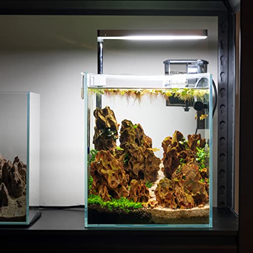 Nano Tall Rimless Frameless Extra Clear Glass Aquarium, Low Iron Glass Tank, 5mm Glass, White Leveling Mat Included, w/Lids Options - size: 2.6 GAL 7.8x7.8x9.8 in