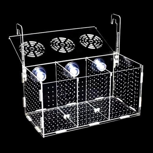 Fish Breeding Box, Acrylic Isolation Box Separator for Aquarium Hatchery Incubator with Suction Cups for Baby Fish Shrimp Clownfish (11.8 * 5.9 * 5.9 inch)