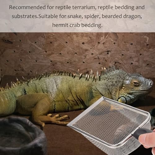 Reptile Sand Substrate Scoop Stainless Steel Litter Cleaner Shovel for Tortoise and Lizard Terrarium Maintenance
