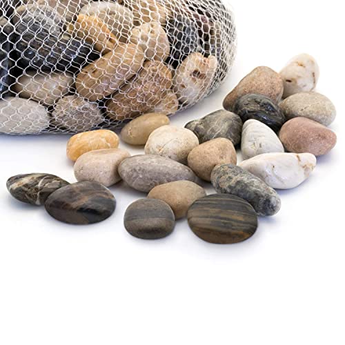 Royal Imports River Rocks, Aquarium Gravel – Natural 1"- 1.5" - 30 lbs | Decorative Ornamental Vase Filler Pebbles for Potted Plants, Terrariums, Vases, Succulents, Fish Tank Gravel, DIY & Crafting - size: 1"- 1.5" - 30 lbs, style: Natural
