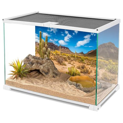 48x20 in Reptile Habitat Background Blue Sky Cactus Desert Tank Backdrop | AWERT Desert Oasis Terrarium Background, Vinyl - size: 48x20in/120x50cm