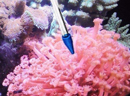 Coral Feeder SPS HPS Feeder, Long and Short Version for Marine Fish and Reef Coral Aquarium (CFT-3 and CFT-4) - size: CFT-3 and CFT-4