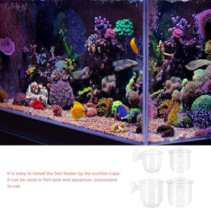 PRETYZOOM 4pcs Aquarium Fish Tank Feeding Cups with Suction Cup, Acrylic Fish Feeder Bowls for Bait and Food Holding, Small and Large Sizes for Aquarium and Shrimp Feeding Supplies