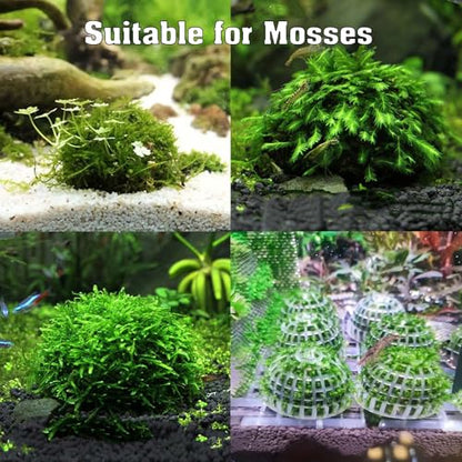 Java Moss | Vesicularia Ferriei Live Aquarium Plant, 10 Square Inch Flame Moss, with 1x Ball Holder, Freshwater Live Plants Shaping Filter