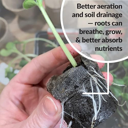 Jiffy Seed Starting Tray Kit, 36 Cell 36mm Peat Pellets with Bonus SUPERthrive - style: 1 Greenhouse Kit