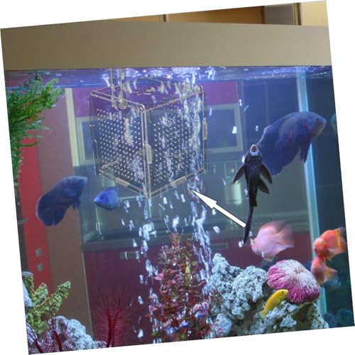 1set Acrylic Fish Breeding Box with Cups Hook Isolation Container for Aquarium Transparent Design for Easy Observation Feeding for Betta Shrimp Care