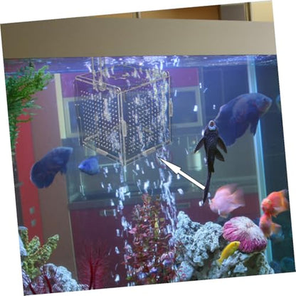 1set Acrylic Fish Breeding Box with Cups Hook Isolation Container for Aquarium Transparent Design for Easy Observation Feeding for Betta Shrimp Care