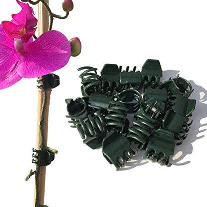 50 PCS Large Size Orchid Clips and Garden Support Clips Green (Not with Flower and Plant Spike)