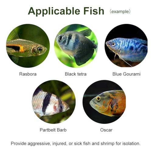 Fish Breeding Box, Transparent Acrylic Fish Isolation Box with Isolation Board, Fish Separator for Aquarium Fish Breeding, Shrimp Clownfish Guppy (30CM*10CM*10CM) - size: 30CM*10CM*10CM