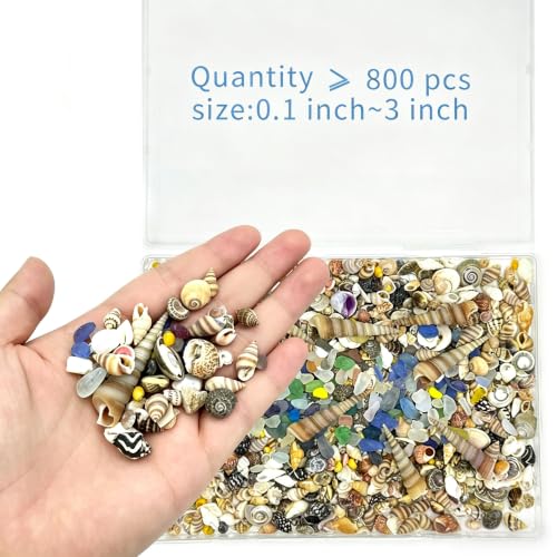 900 Pcs Mixed Mini Sea Shells with Sea Glass,0.11-2.7in | Craft Decor Supplies Natural Beach Craft Fillers, Ideal for Wedding Decor, Aquarium, Vase & DIY Handmade Projects