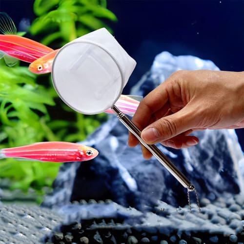 Aquarium Net with Extendable Long Handle, Adjustable Wastes Skimming Cleaning Tools Nylon Fishing Mesh Nets with Long Plastic Handle - color: round, style: L