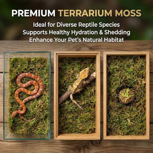 Sukh Sphagnum Moss for Reptiles - Green Terrarium Moss Substrate, 5oz | Habitat Bedding for Gecko, Snake, Turtle, Frog, Bearded Dragon, Jumping Spider, Chameleon, Enclosure & Tank Accessories Decor - size: 5 Ounces